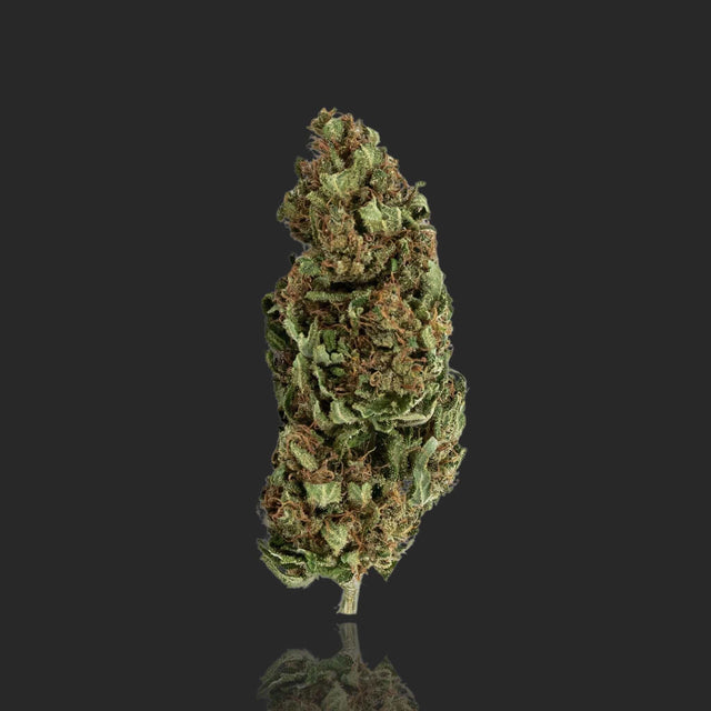 CBD Blüte Blackberry 15%